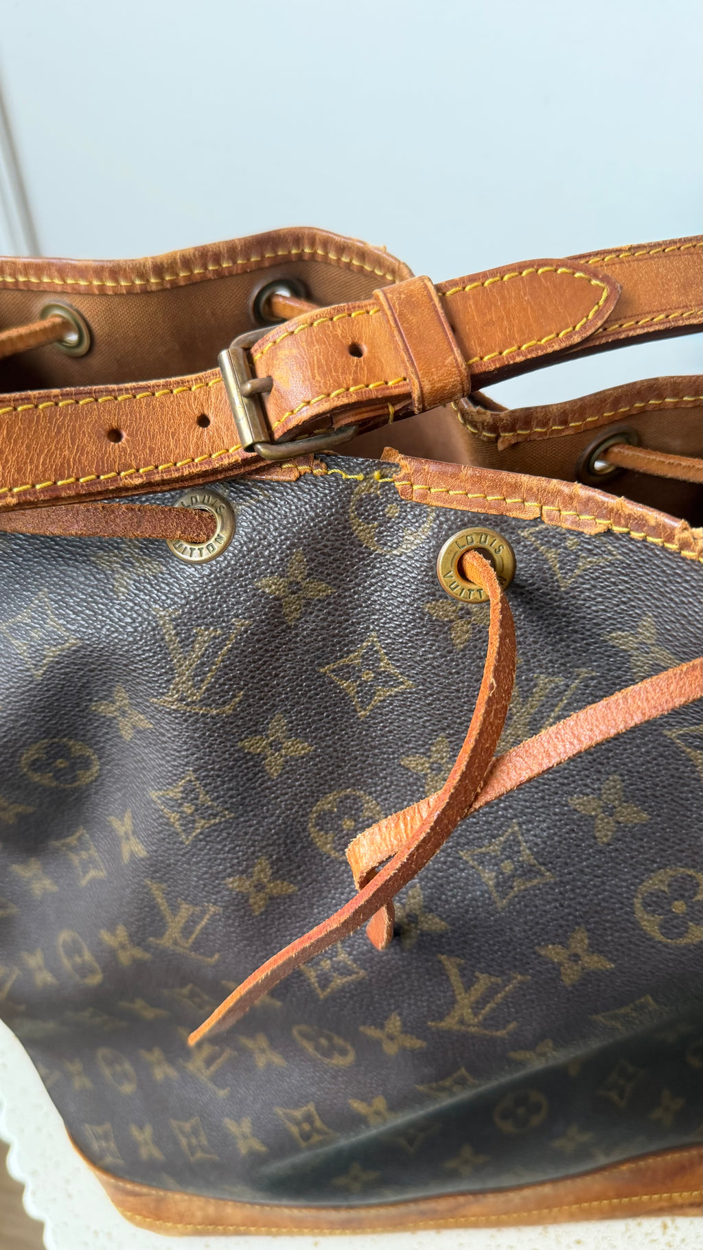 Louis Vuitton Noé Grand Bag