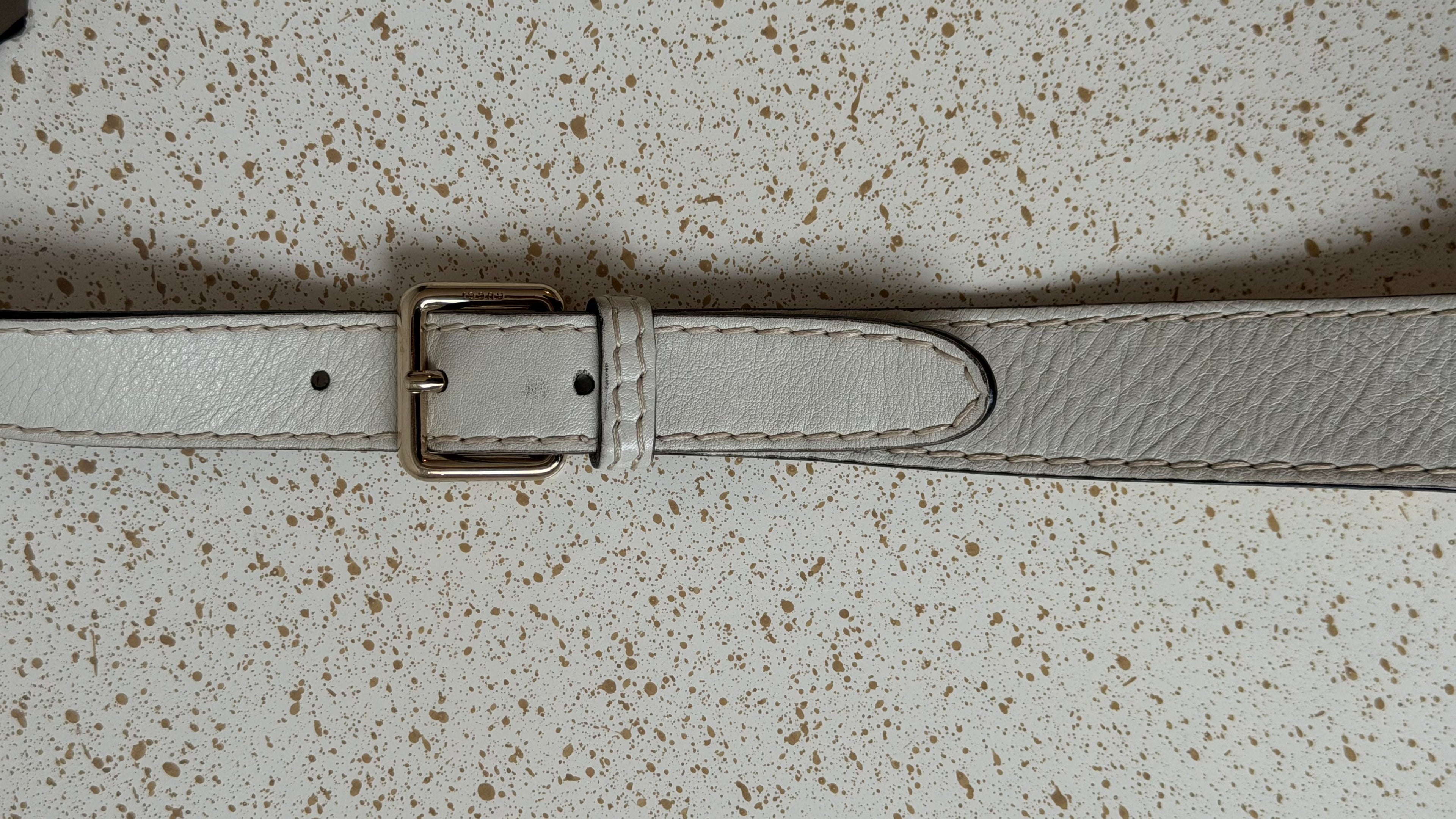 Gucci Canvas Charlotte Crossbody